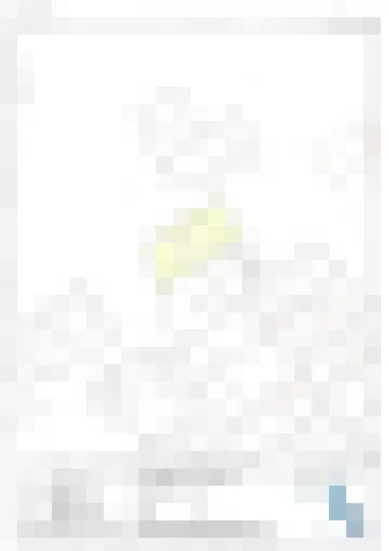 1e Verdelingsweg 526 Putte thumbnail 36
