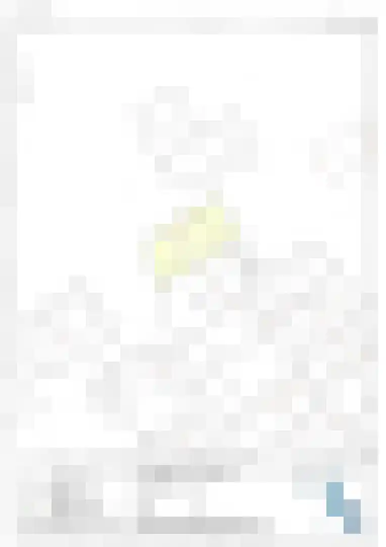 1e Verdelingsweg 526 Putte thumbnail 36