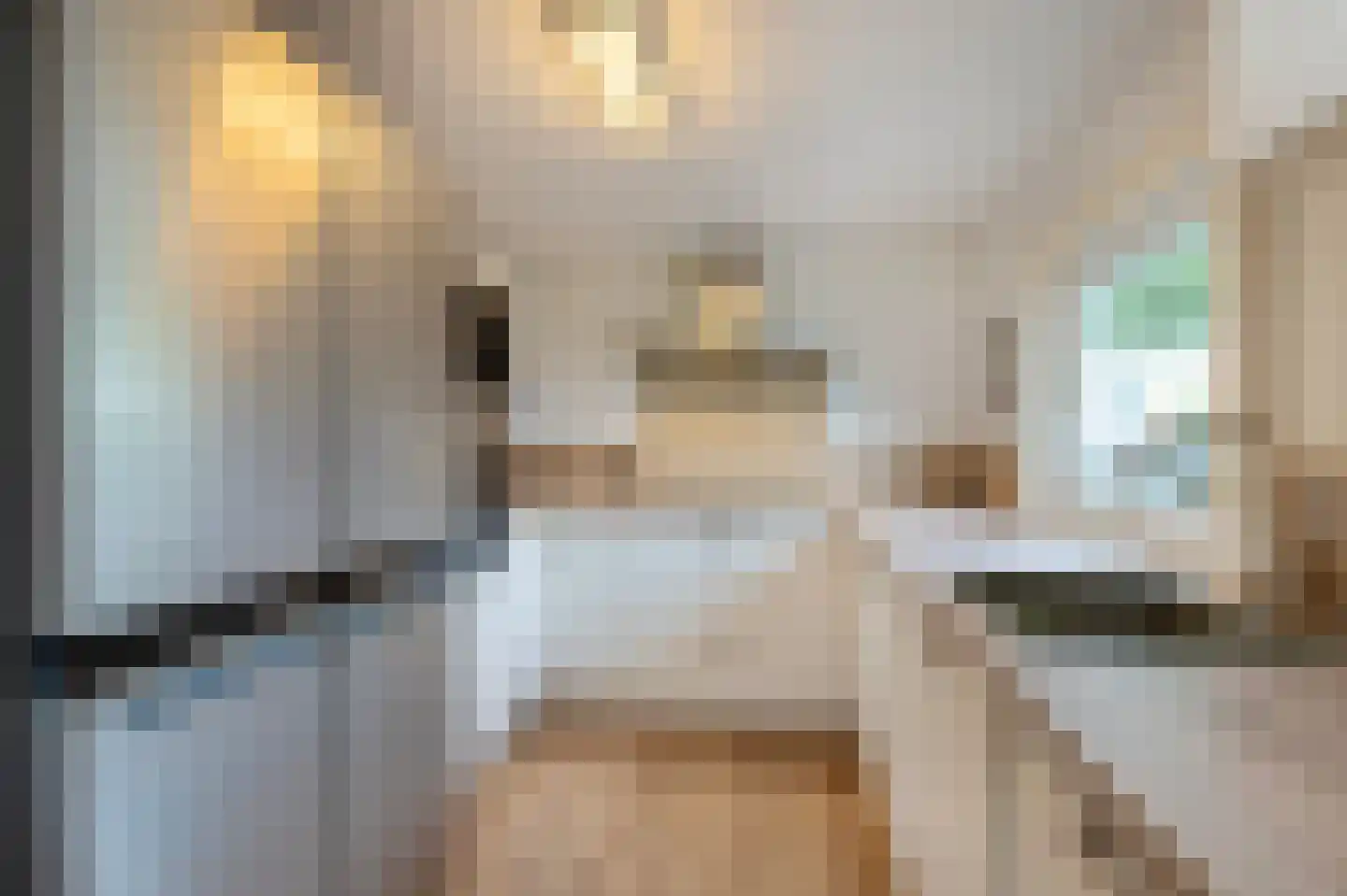 1e Verdelingsweg 535 Putte thumbnail 12