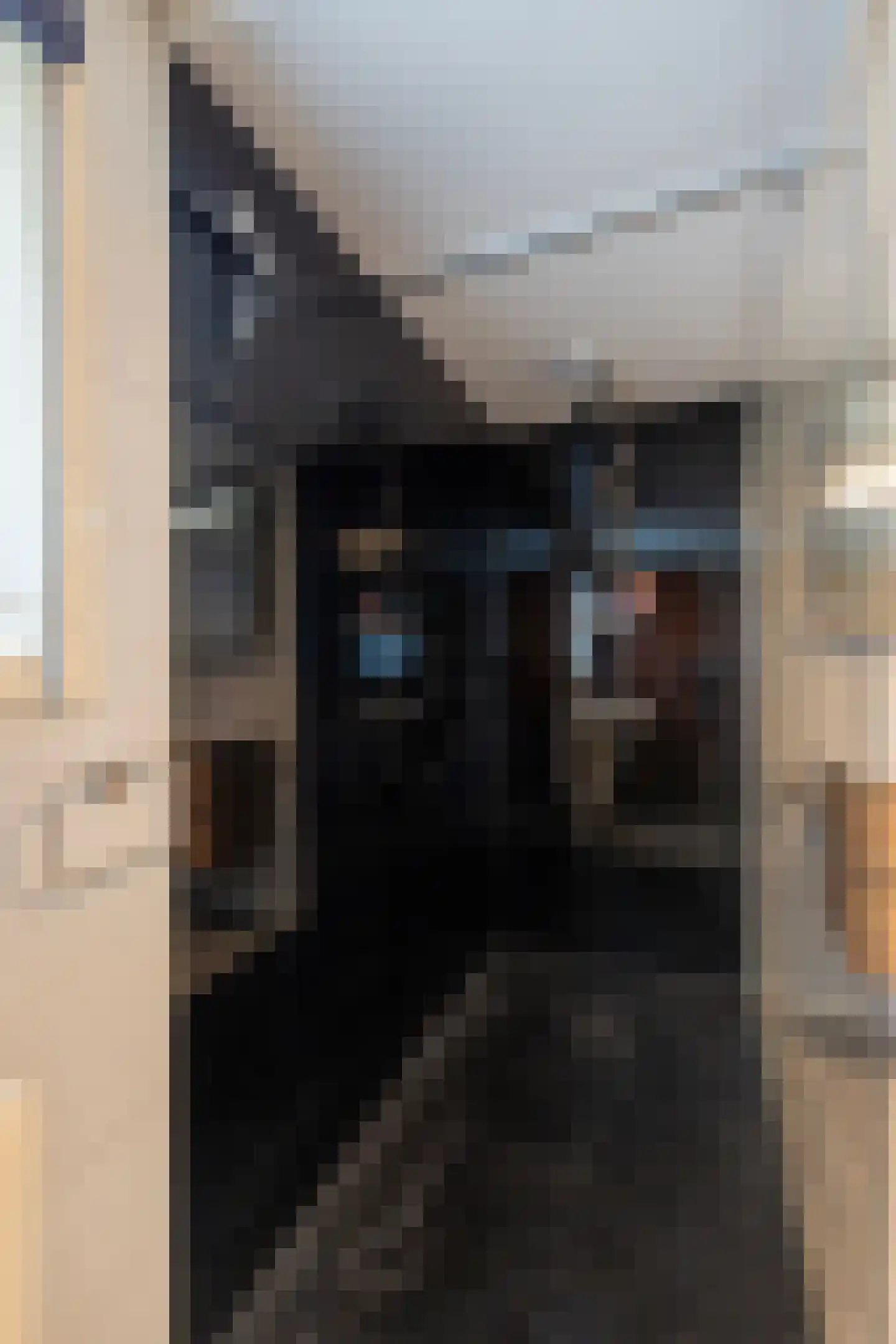 1e Verdelingsweg 535 Putte thumbnail 20