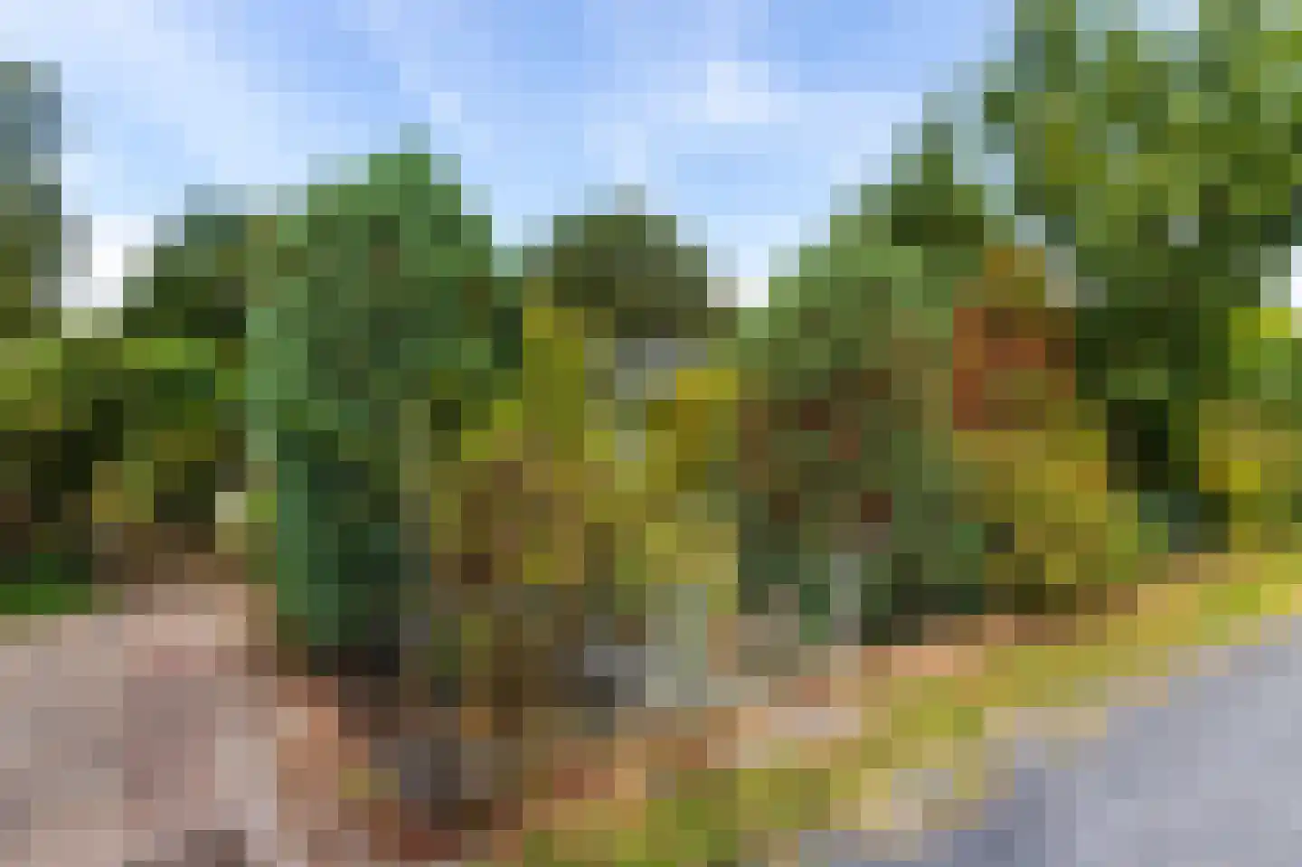 1e Verdelingsweg 535 Putte thumbnail 25
