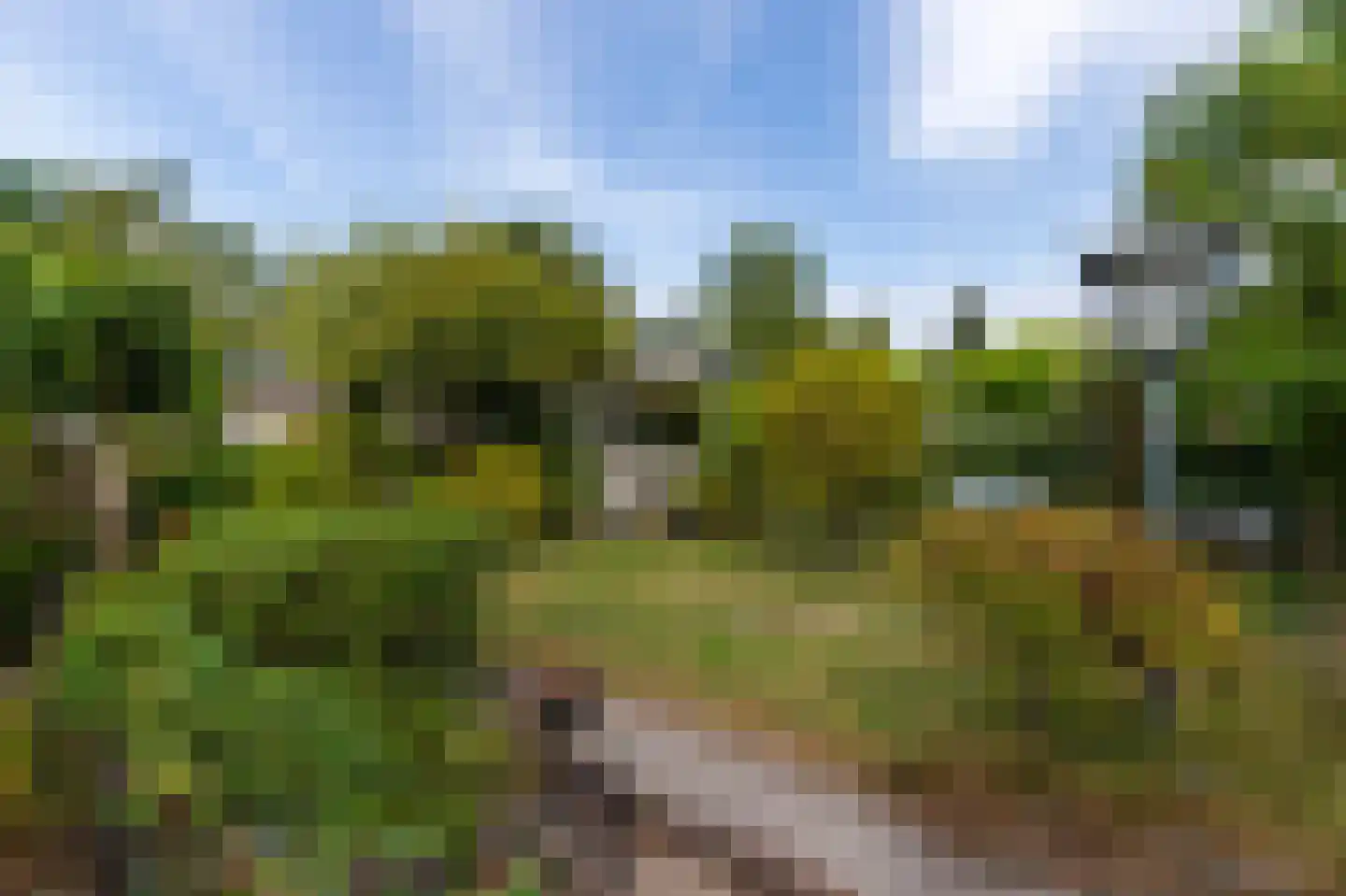 1e Verdelingsweg 535 Putte thumbnail 26
