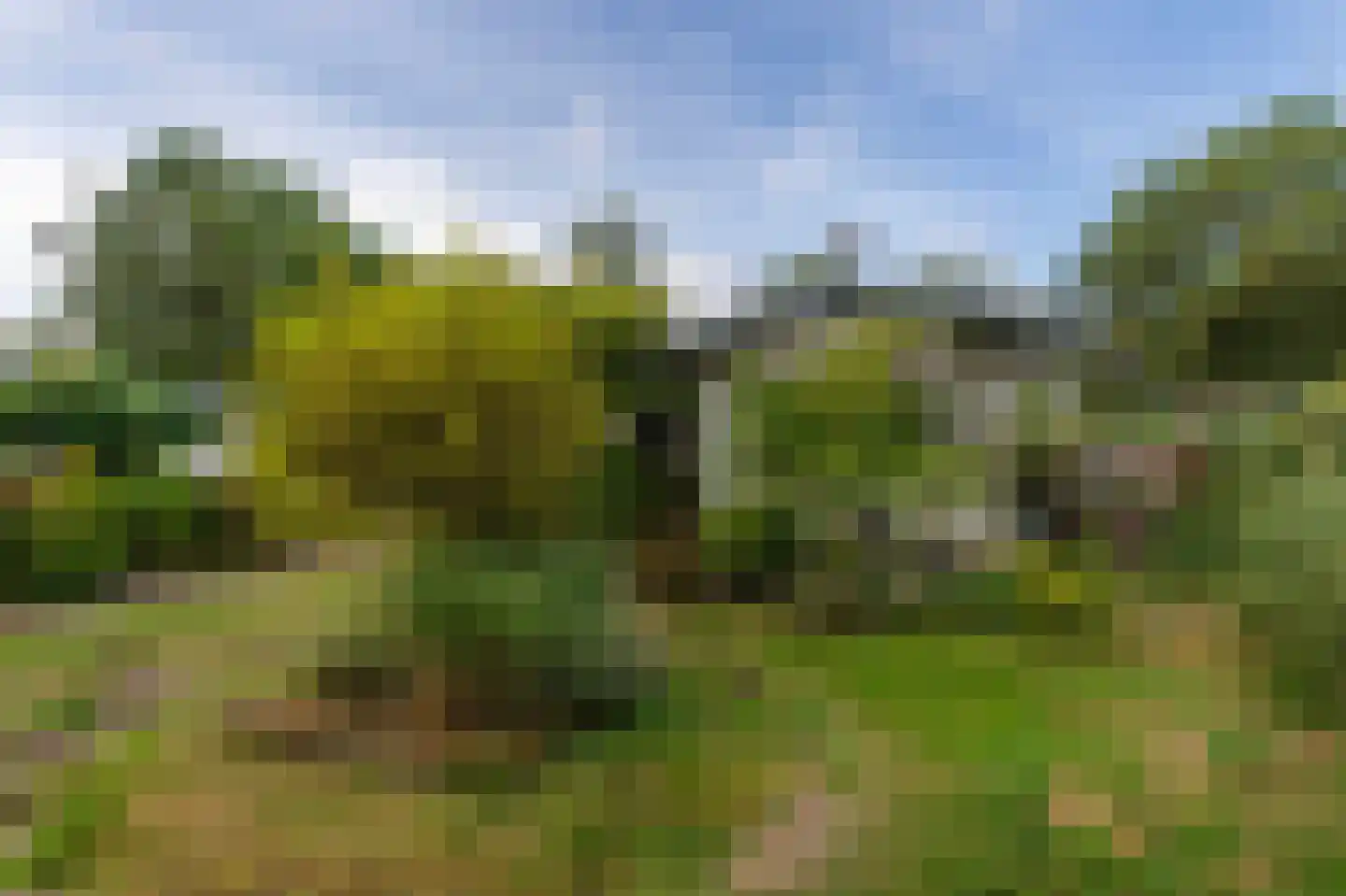 1e Verdelingsweg 535 Putte foto 3