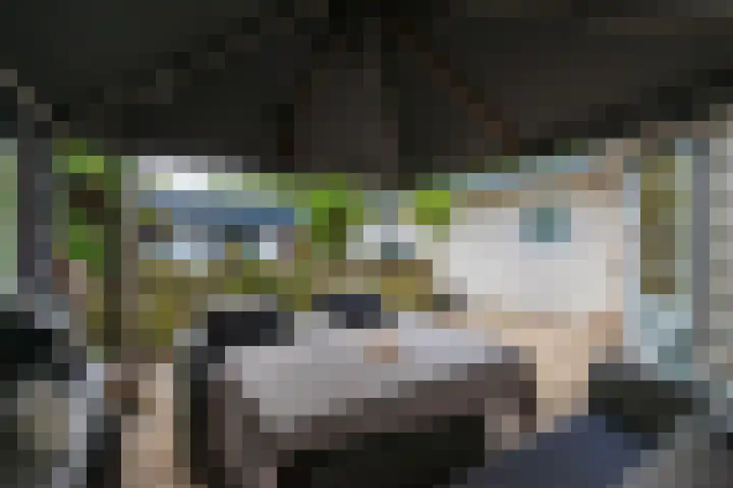 1e Verdelingsweg 535 Putte thumbnail 30