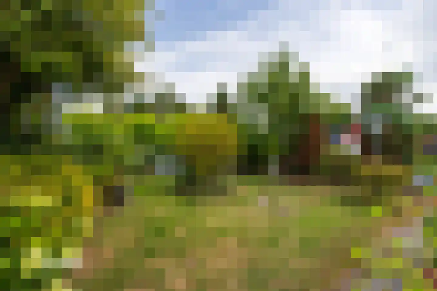 1e Verdelingsweg 535 Putte thumbnail 32