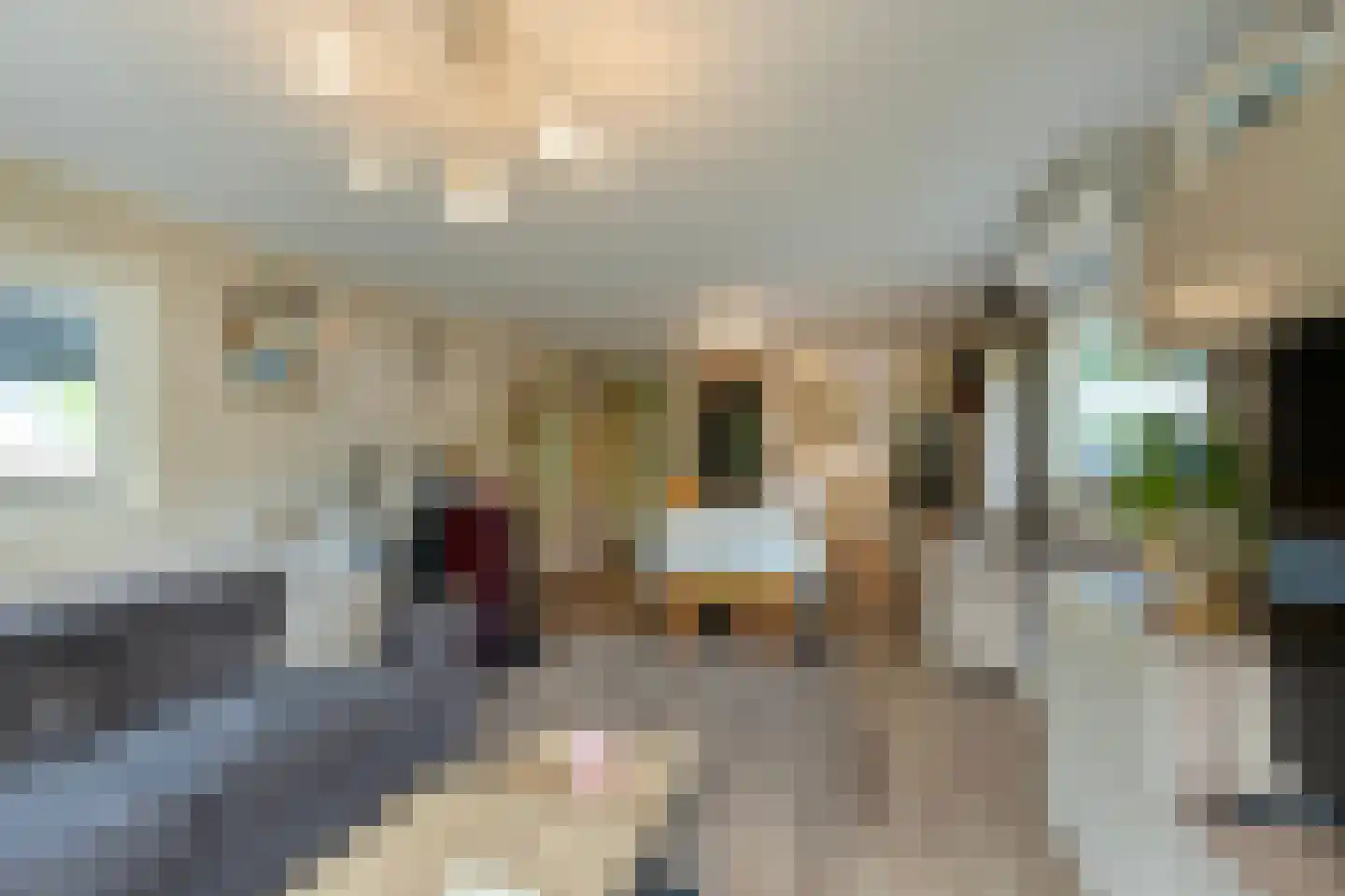 1e Verdelingsweg 535 Putte thumbnail 6