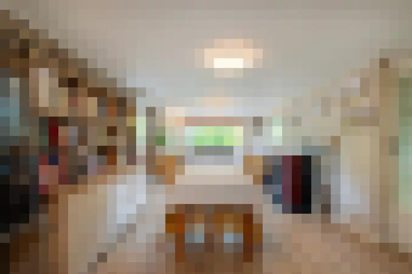 1e Verdelingsweg 535 Putte thumbnail 8