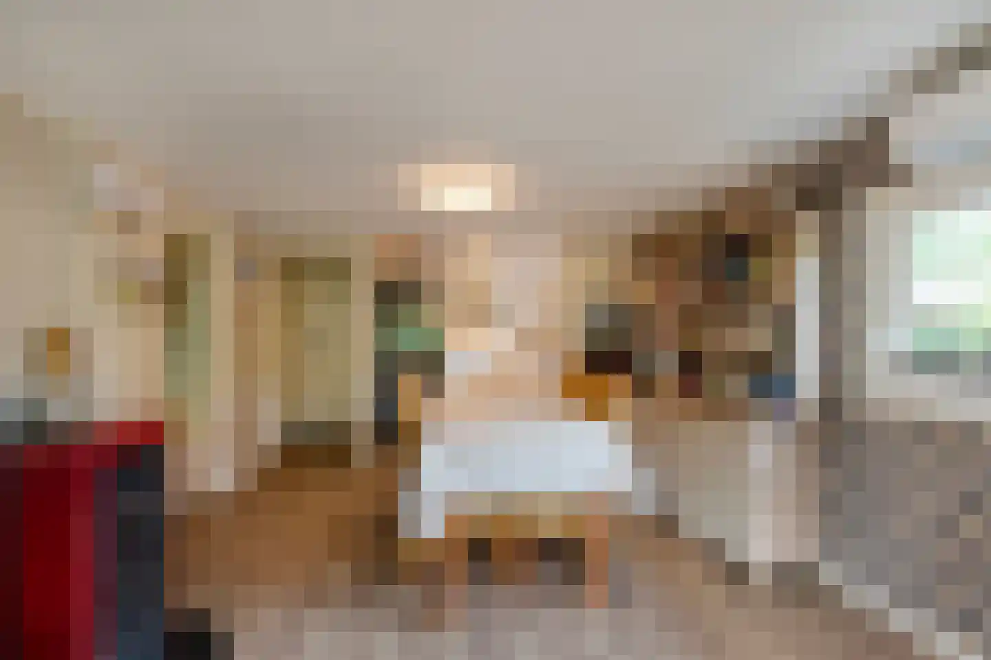 1e Verdelingsweg 535 Putte thumbnail 9