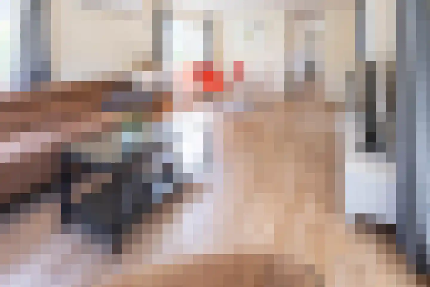 1e Verdelingsweg 633 Putte thumbnail 11