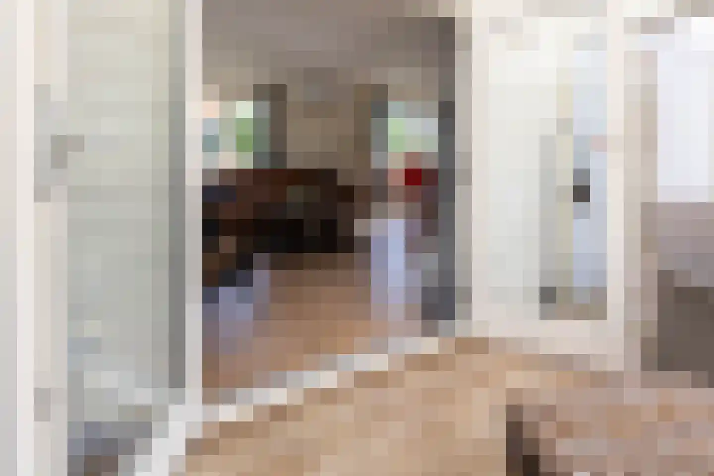 1e Verdelingsweg 633 Putte thumbnail 13