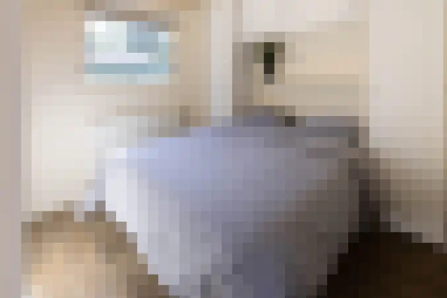 1e Verdelingsweg 633 Putte thumbnail 16