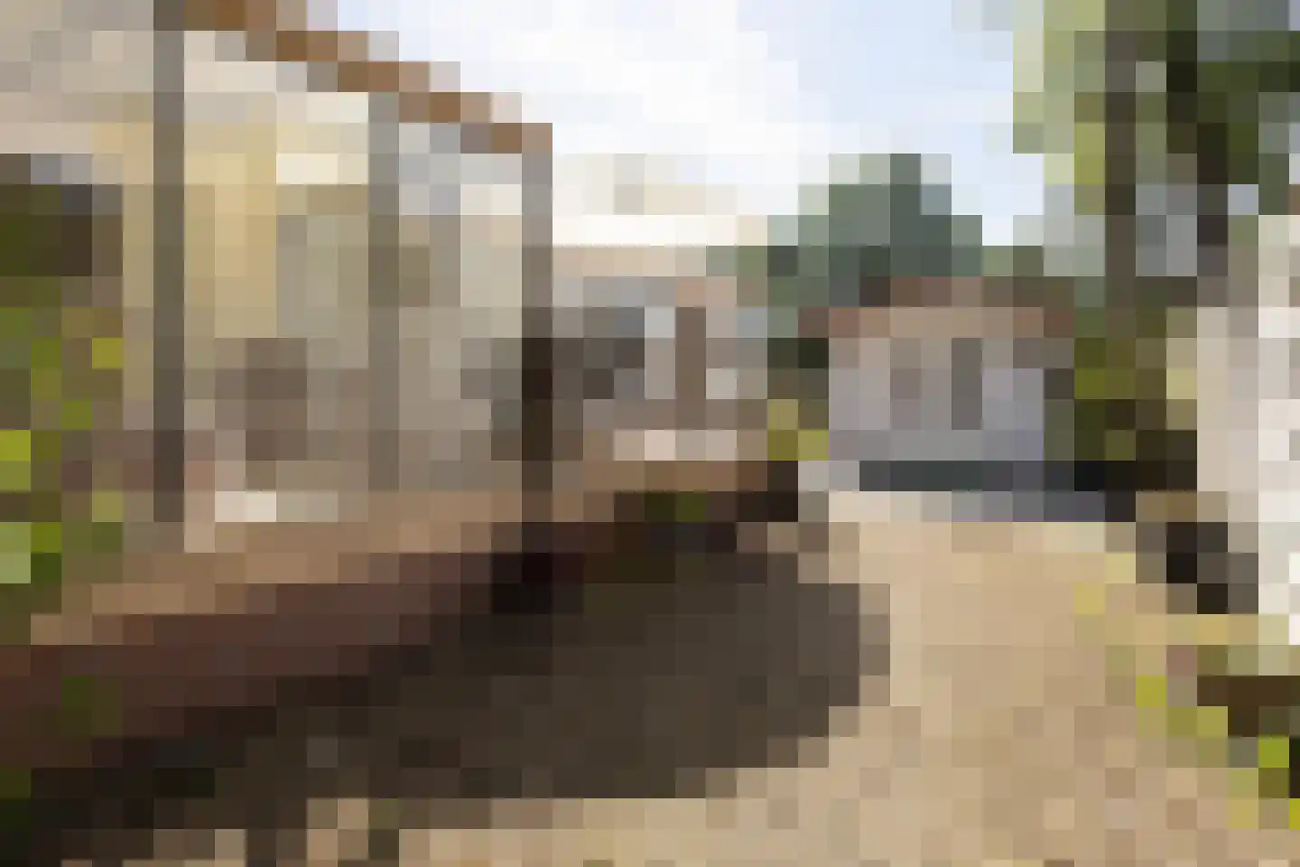 1e Verdelingsweg 633 Putte foto 2