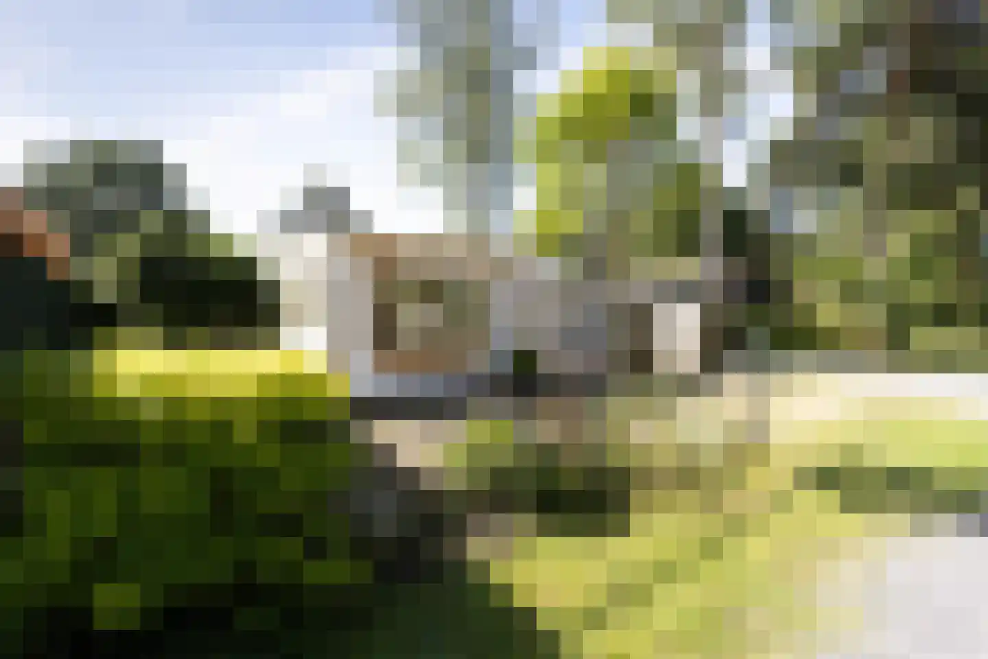 1e Verdelingsweg 633 Putte thumbnail 26