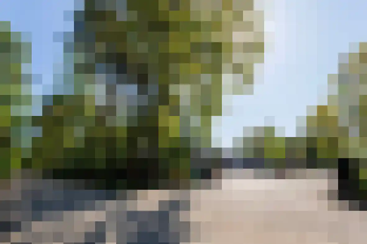 1e Verdelingsweg 633 Putte thumbnail 27