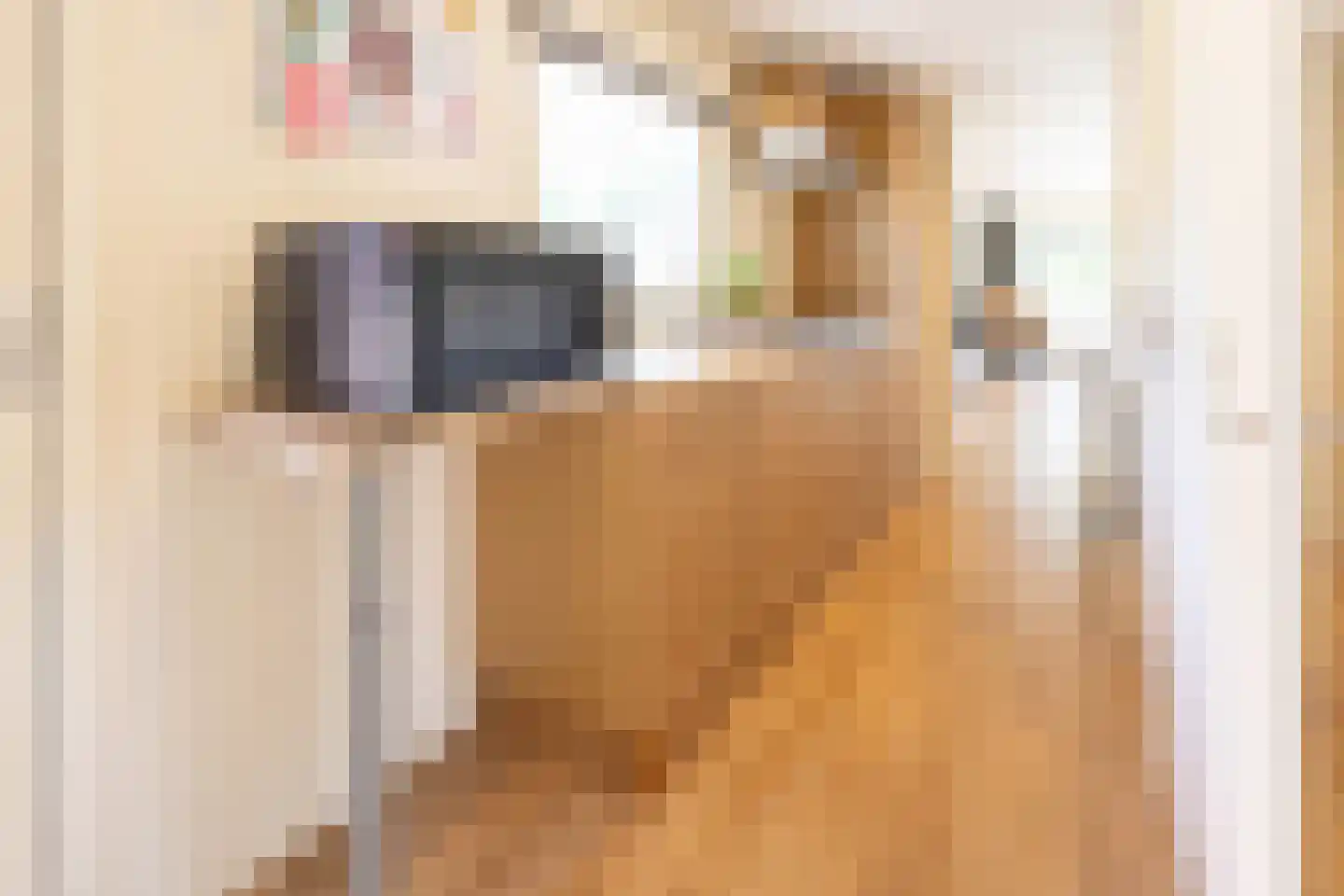 1e Verdelingsweg 633 Putte thumbnail 5