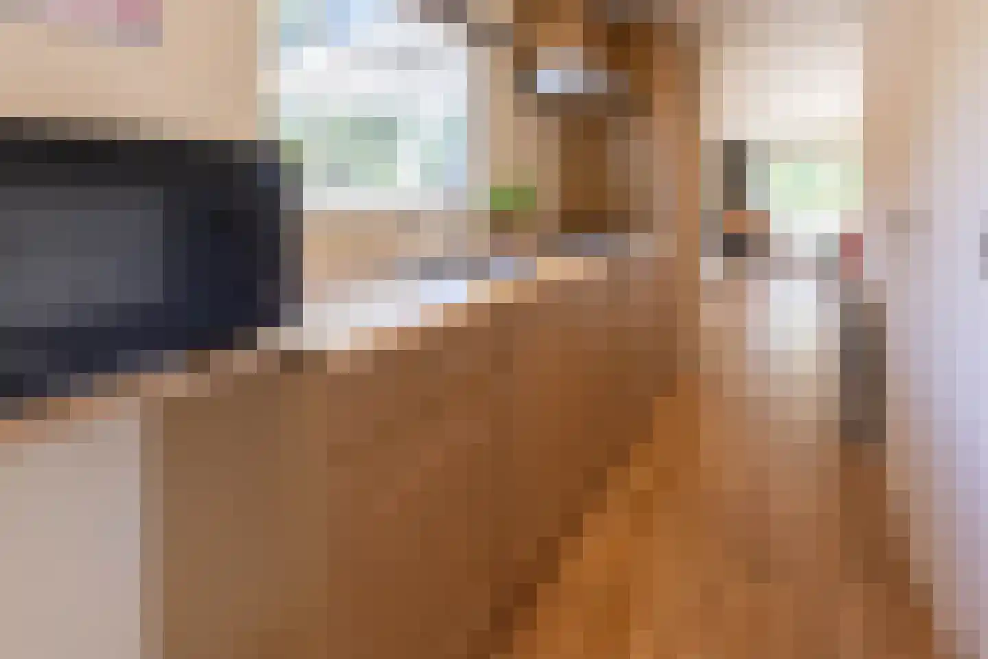 1e Verdelingsweg 633 Putte thumbnail 6