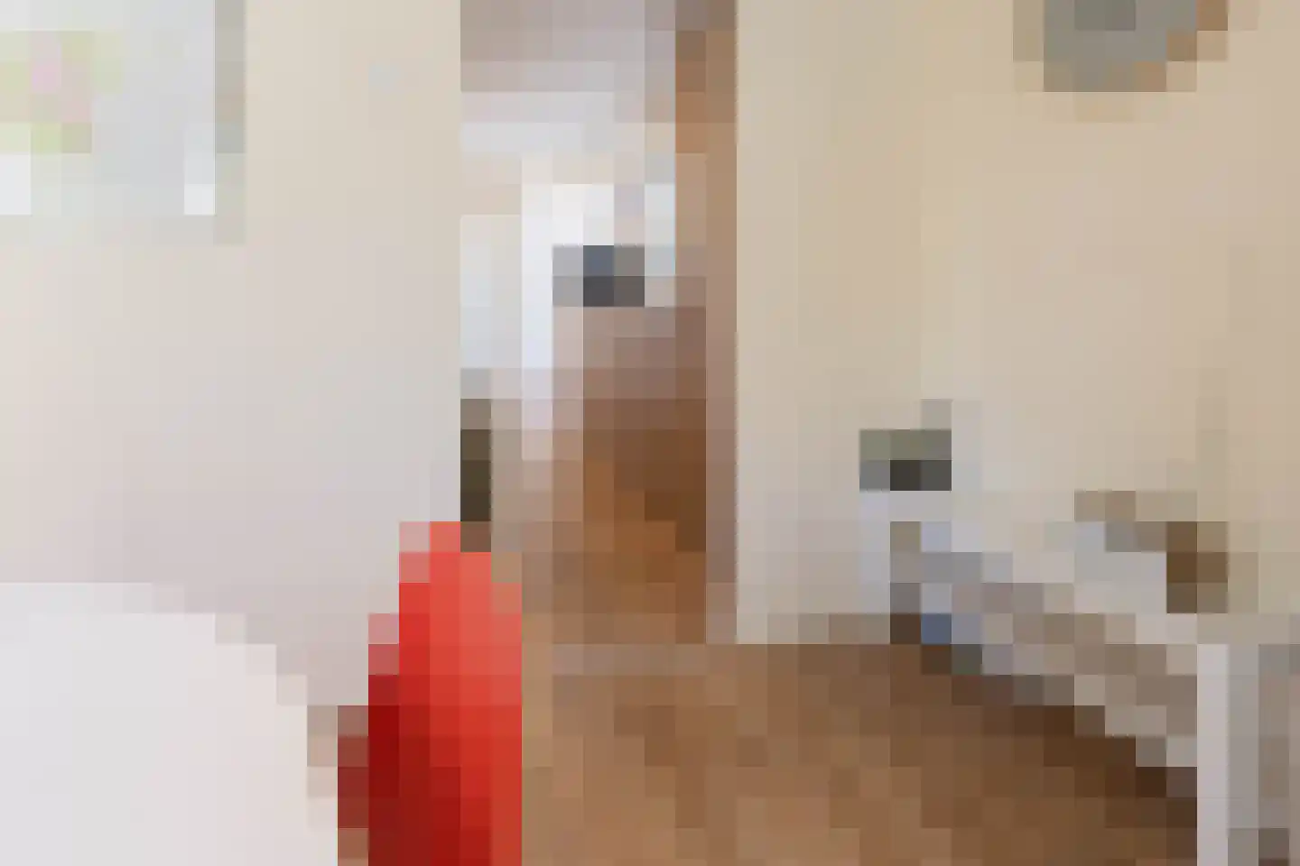 1e Verdelingsweg 633 Putte thumbnail 7