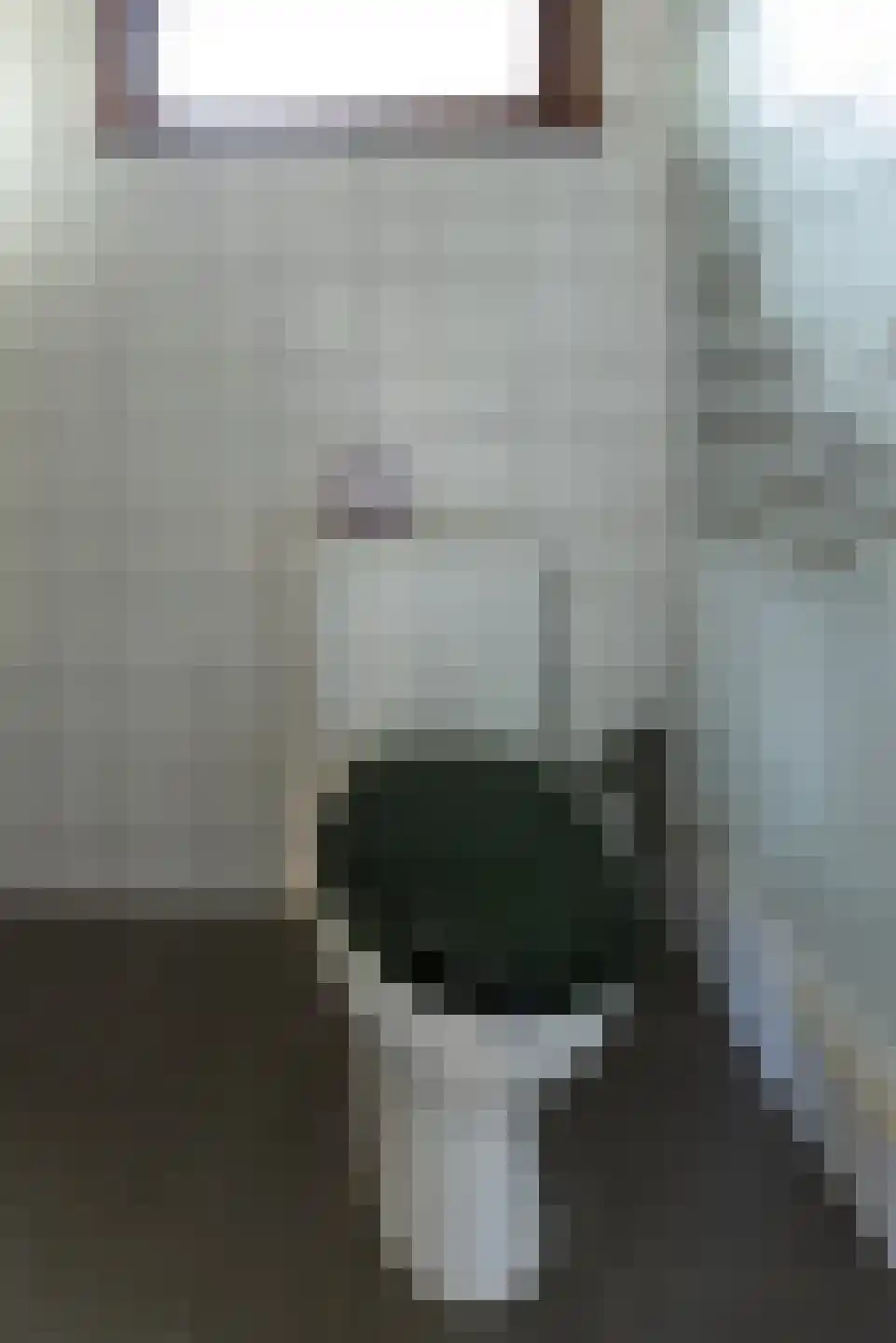 1e Verdelingsweg 708 Putte thumbnail 11