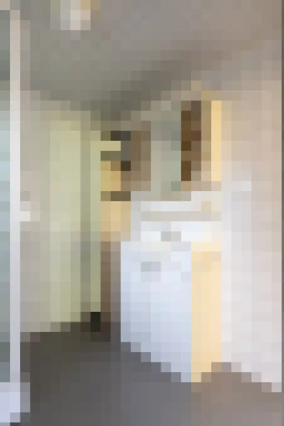1e Verdelingsweg 708 Putte thumbnail 12