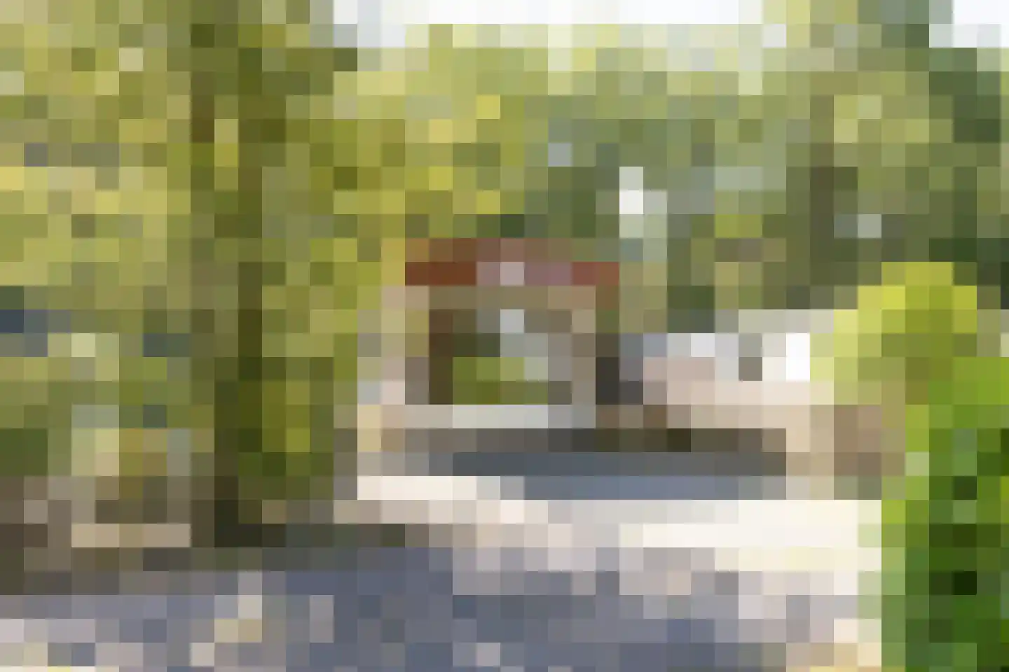 1e Verdelingsweg 708 Putte foto 2