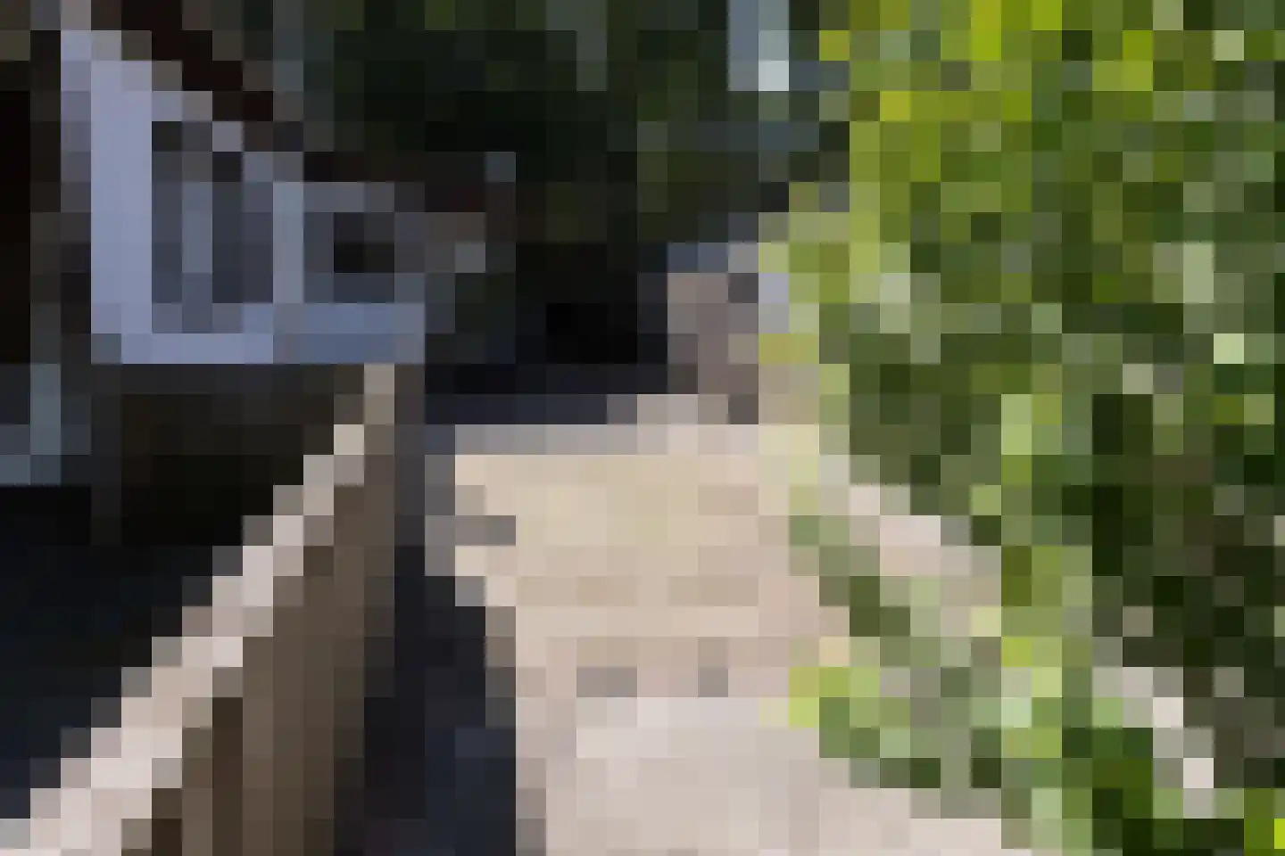 1e Verdelingsweg 708 Putte thumbnail 21