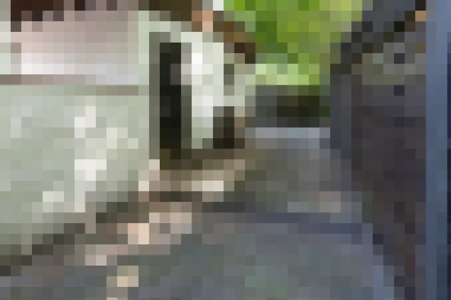 1e Verdelingsweg 708 Putte thumbnail 22