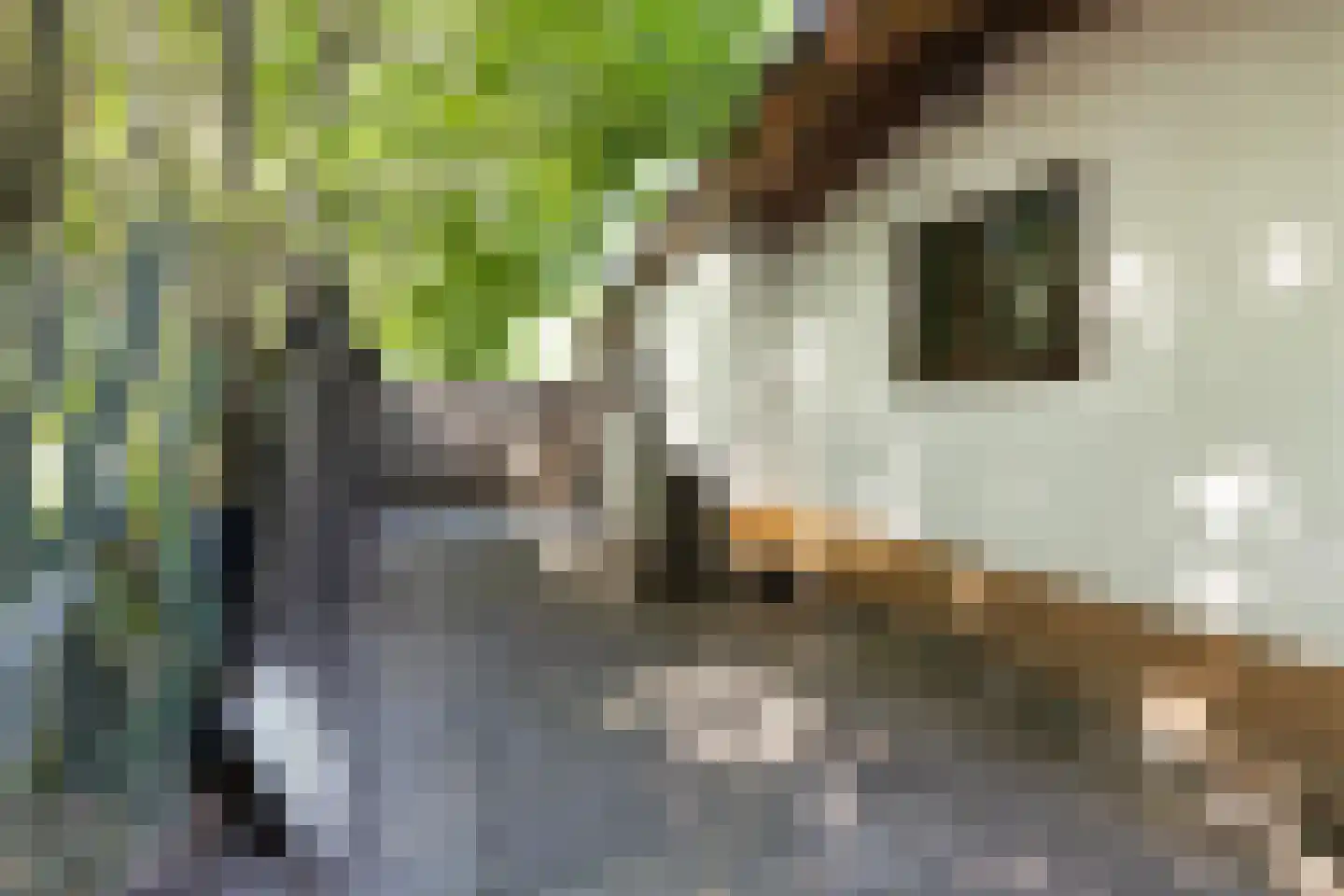 1e Verdelingsweg 708 Putte thumbnail 23