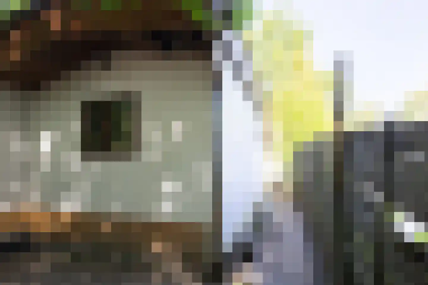 1e Verdelingsweg 708 Putte thumbnail 24