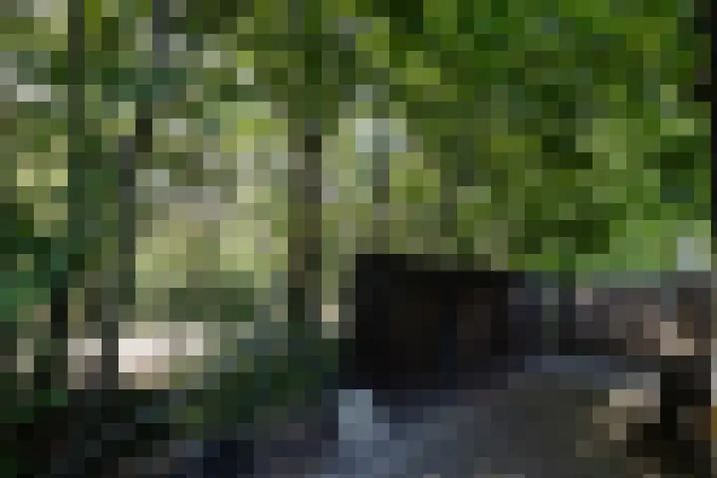 1e Verdelingsweg 708 Putte thumbnail 25