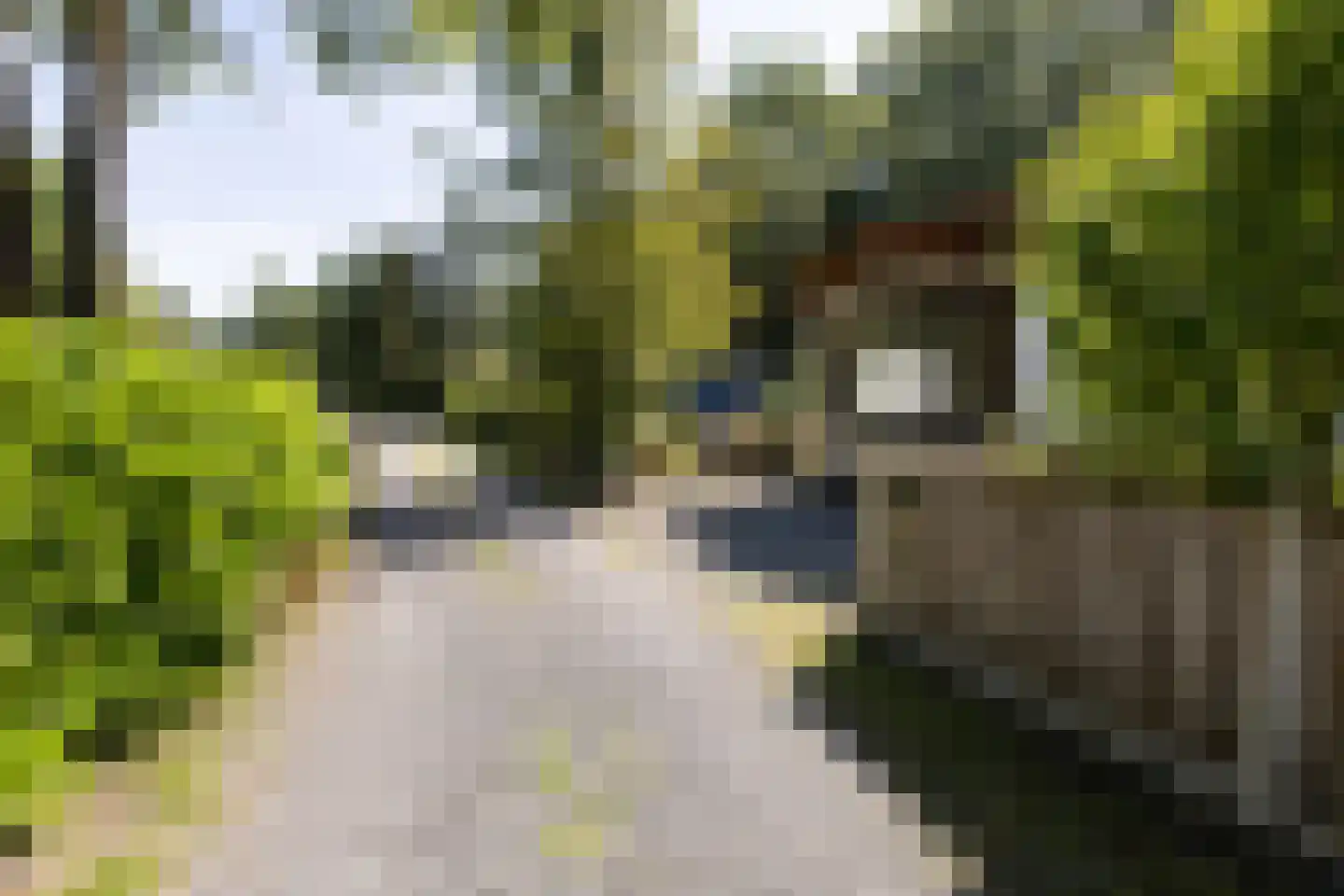 1e Verdelingsweg 708 Putte thumbnail 26