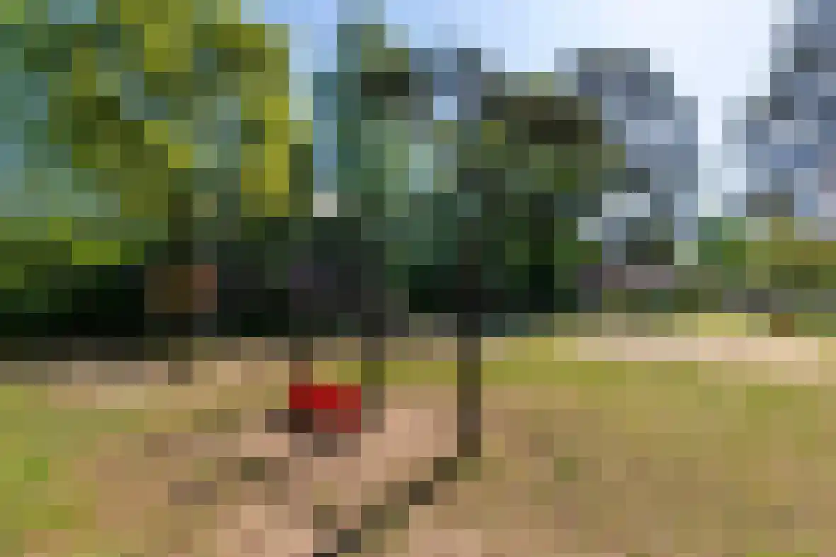 1e Verdelingsweg 708 Putte thumbnail 29