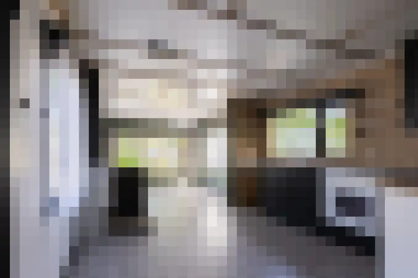 1e Verdelingsweg 708 Putte thumbnail 5