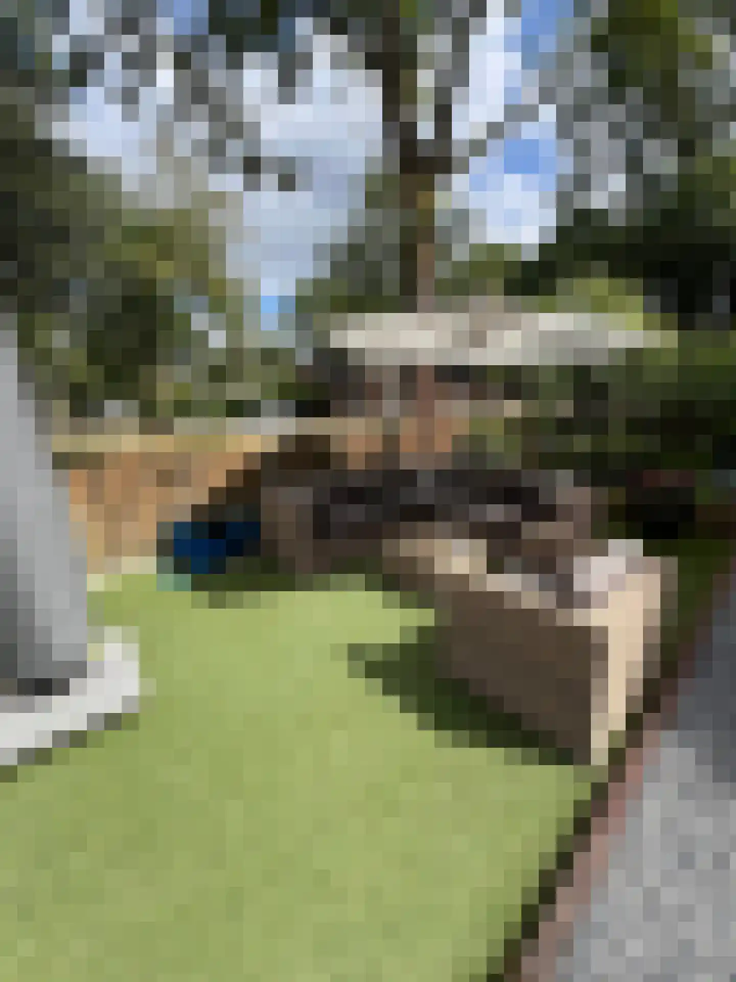 1e Verdelingsweg 715 Putte thumbnail 16