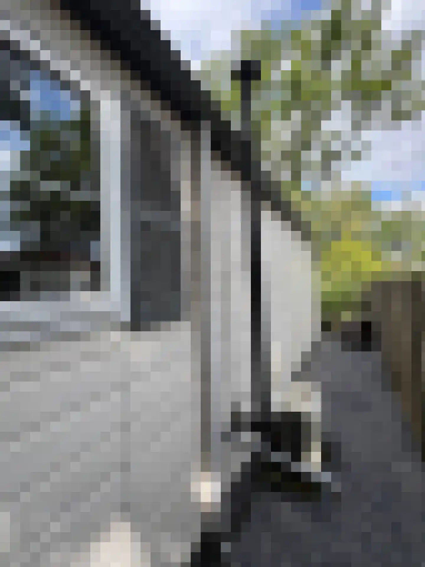 1e Verdelingsweg 715 Putte thumbnail 20