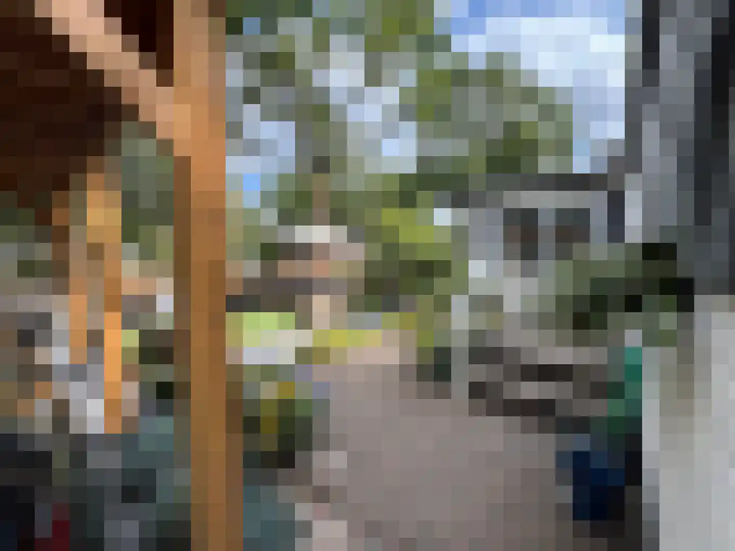 1e Verdelingsweg 715 Putte foto 3