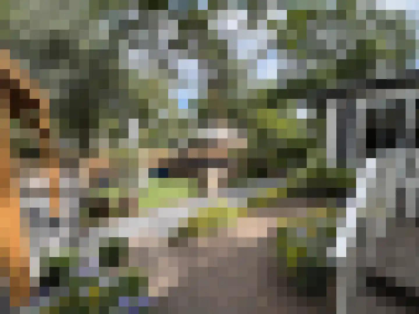 1e Verdelingsweg 715 Putte thumbnail 4