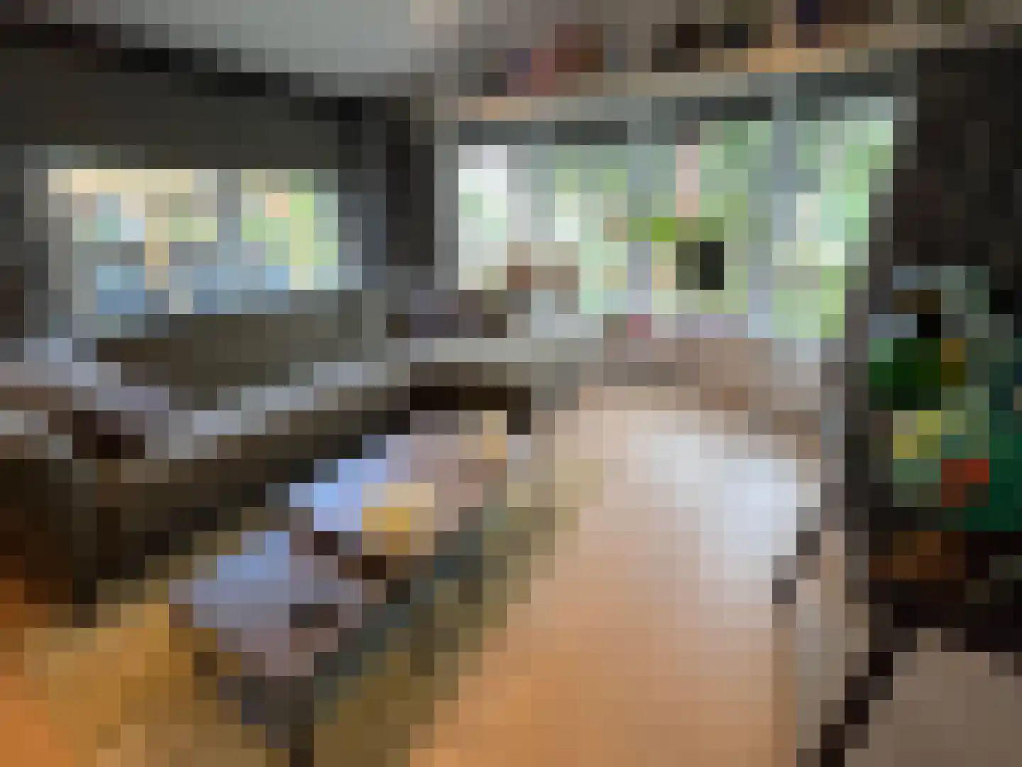 1e Verdelingsweg 715 Putte thumbnail 5