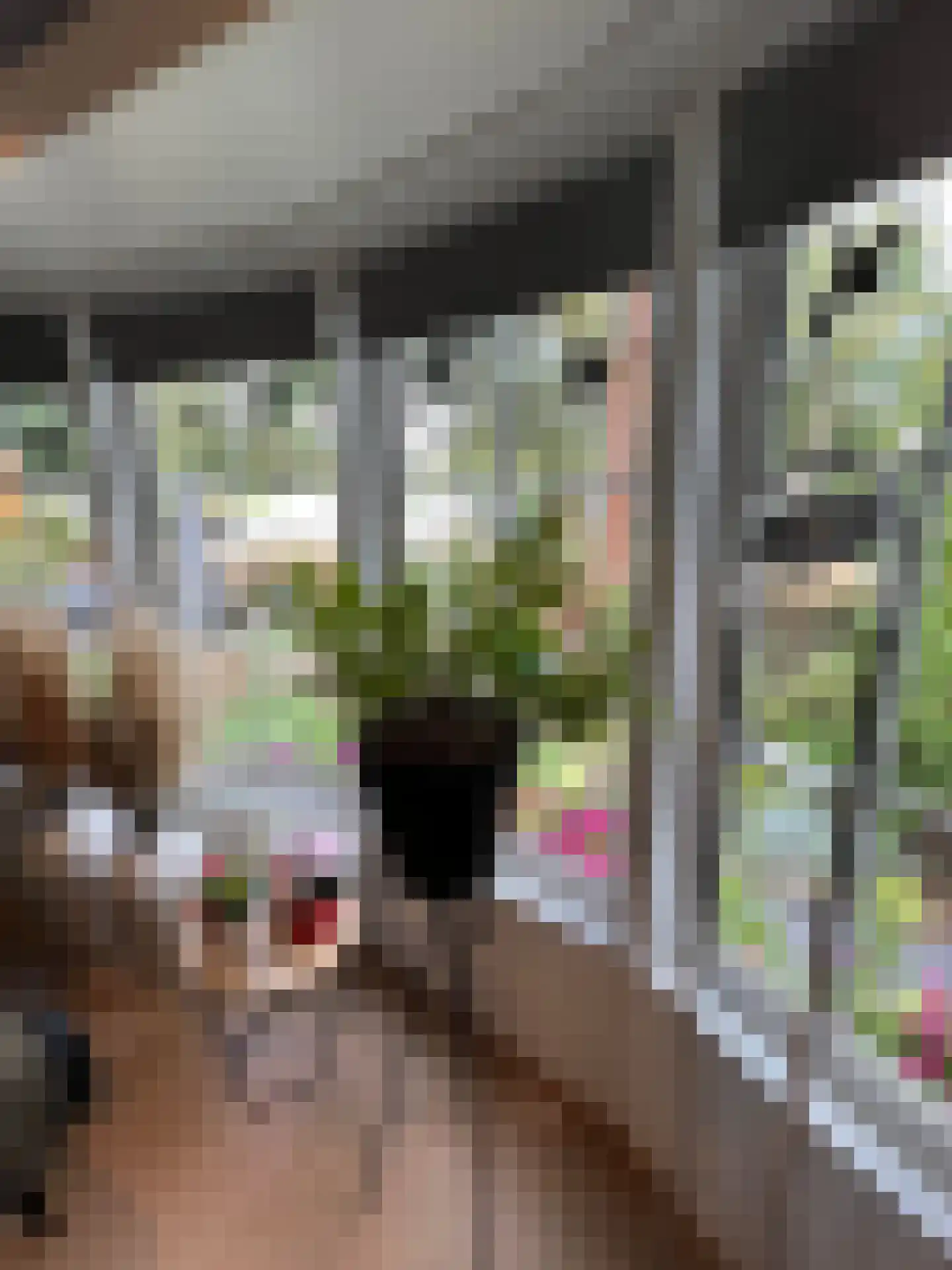 1e Verdelingsweg 715 Putte thumbnail 6