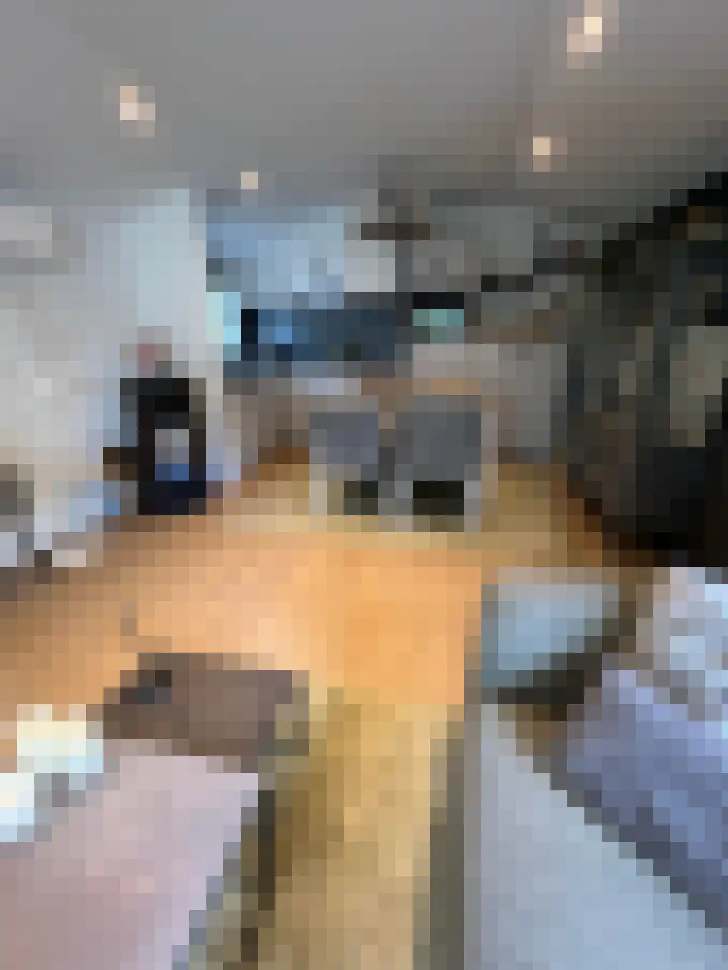 1e Verdelingsweg 715 Putte thumbnail 7