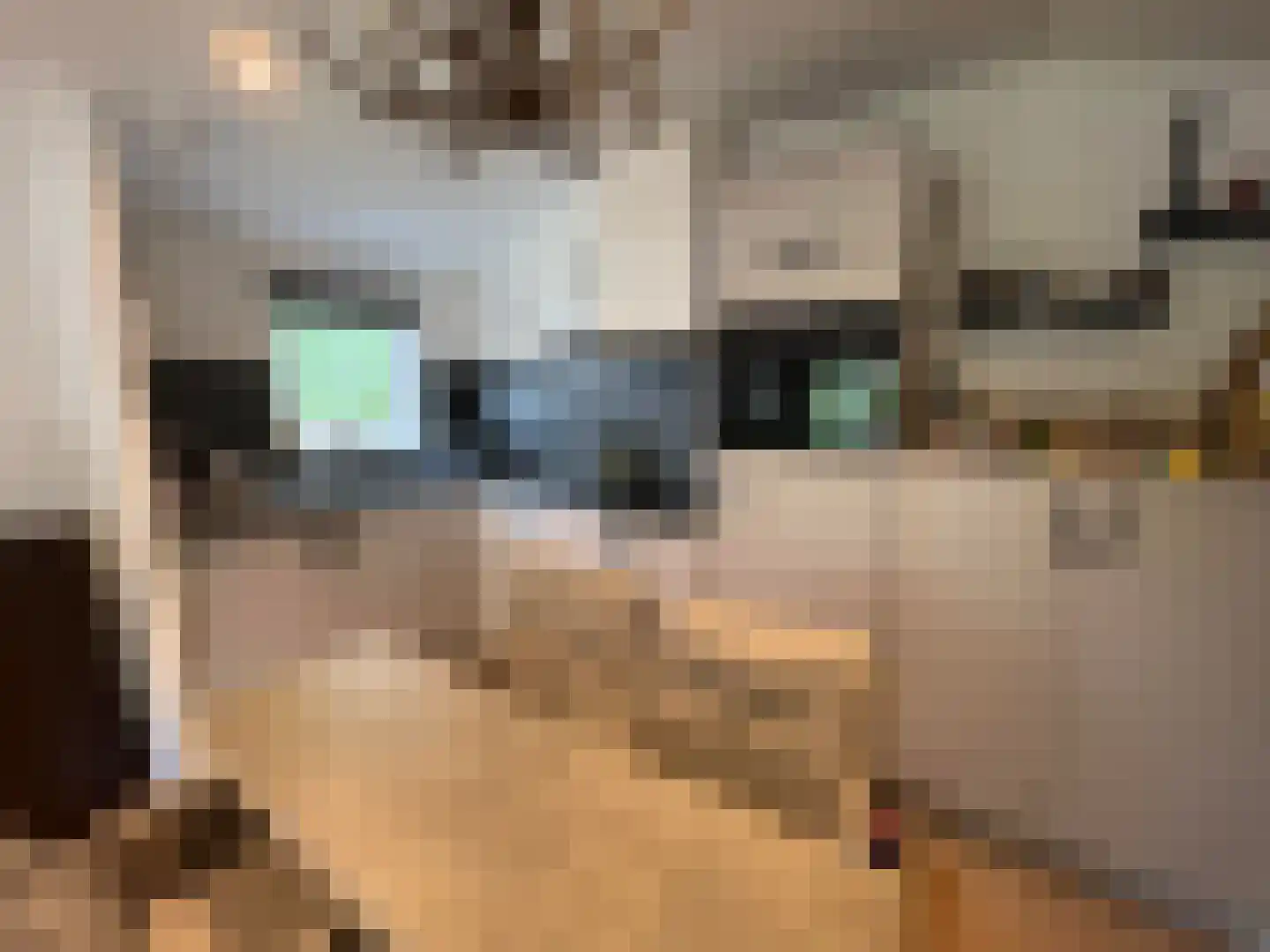1e Verdelingsweg 715 Putte thumbnail 9