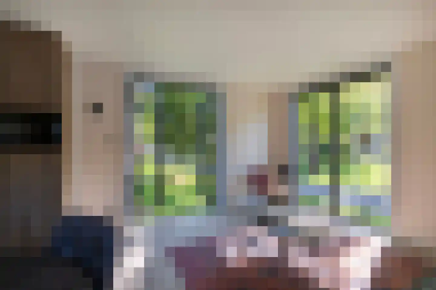 1e Verdelingsweg 813 Putte thumbnail 10