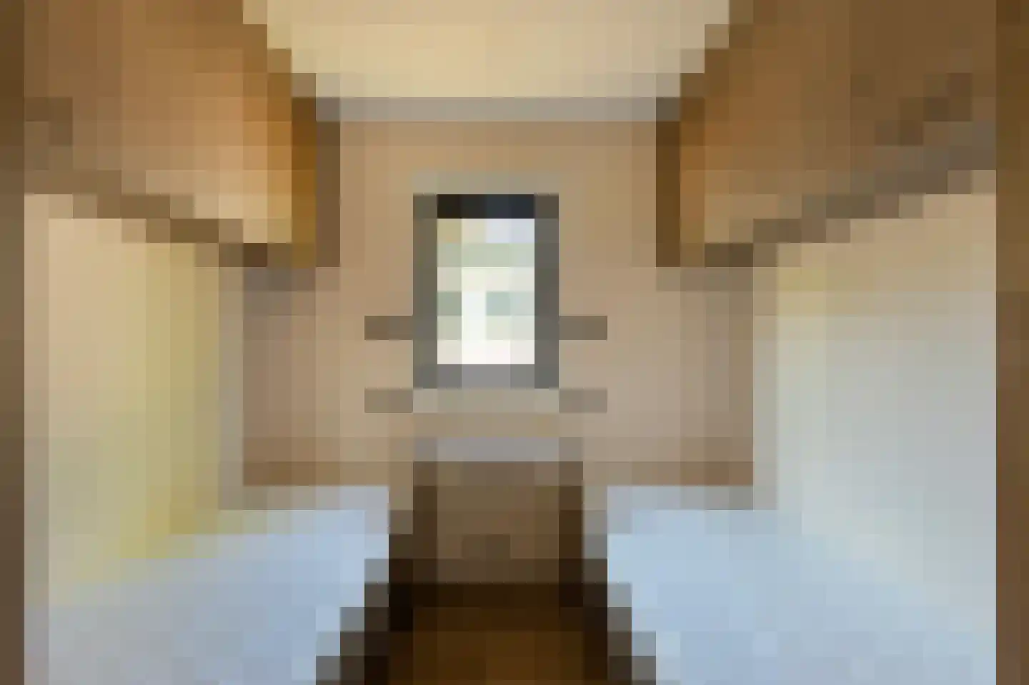1e Verdelingsweg 813 Putte thumbnail 13