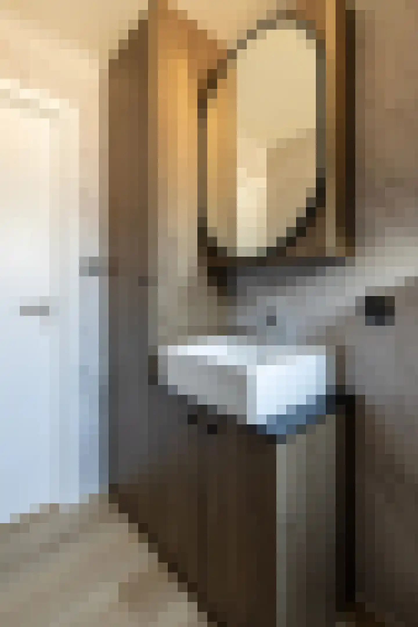 1e Verdelingsweg 813 Putte thumbnail 15