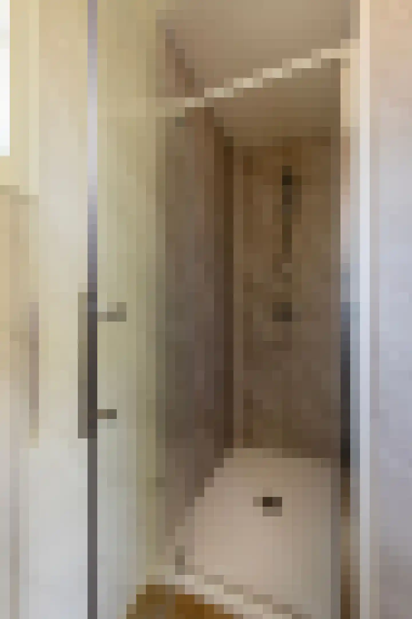 1e Verdelingsweg 813 Putte thumbnail 17