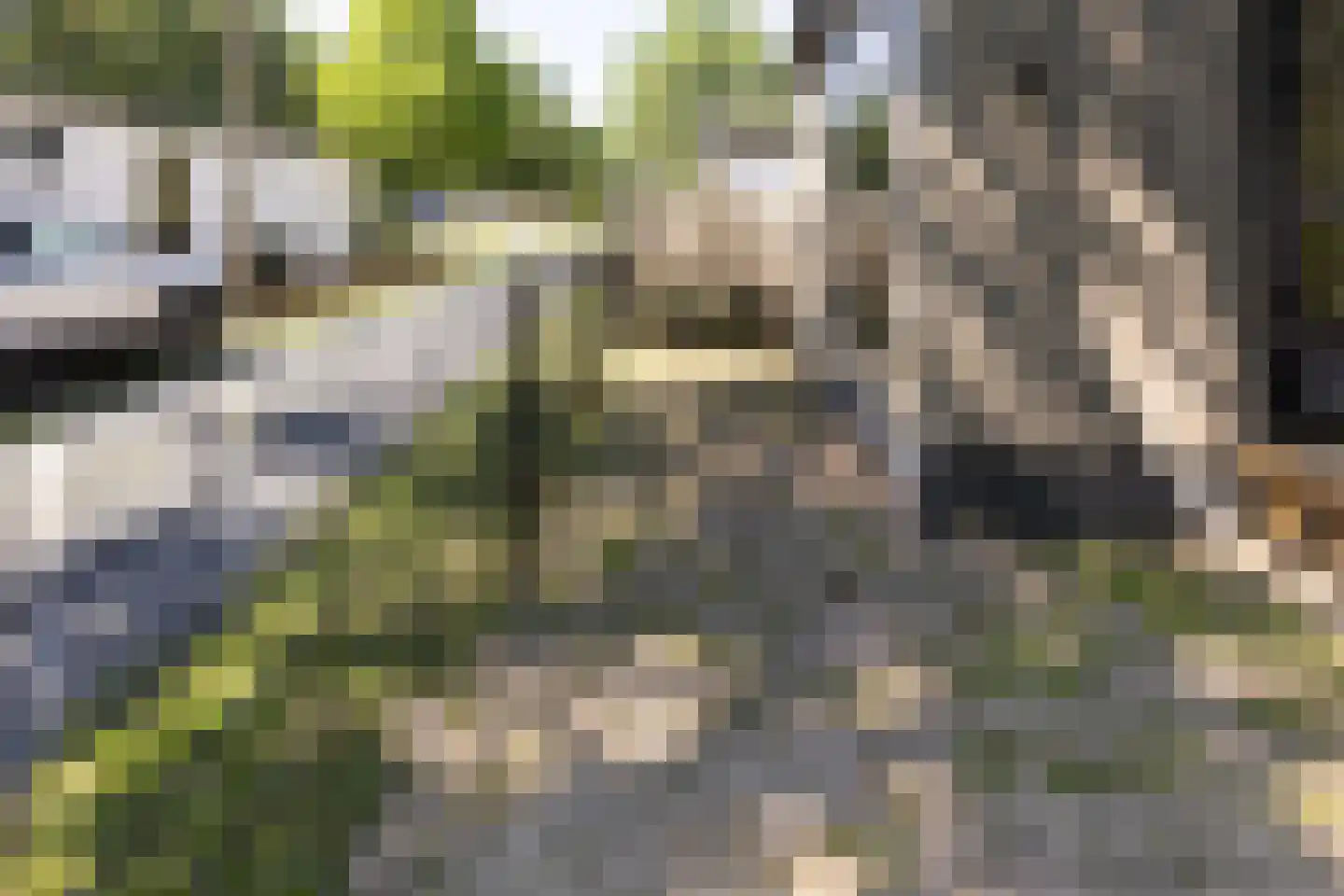 1e Verdelingsweg 813 Putte thumbnail 20