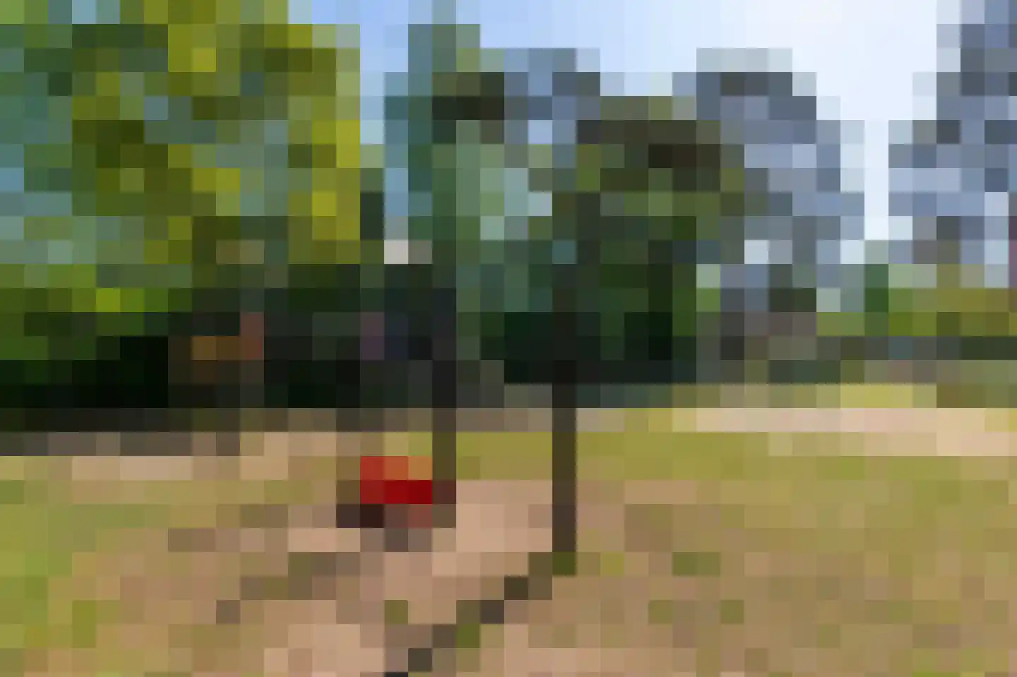 1e Verdelingsweg 813 Putte thumbnail 24