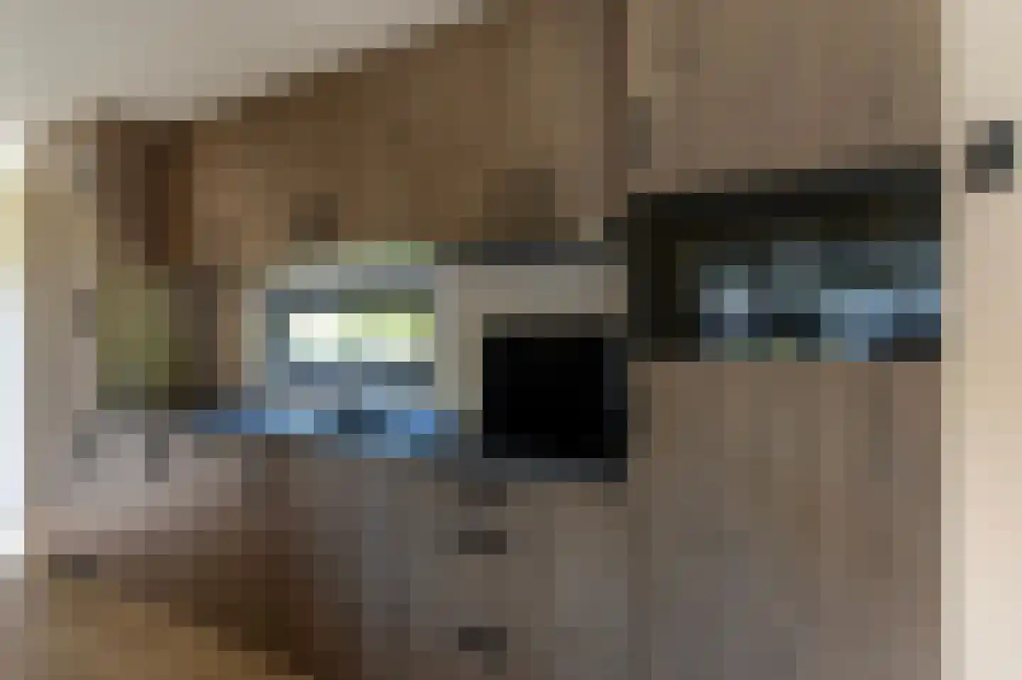 1e Verdelingsweg 813 Putte thumbnail 5