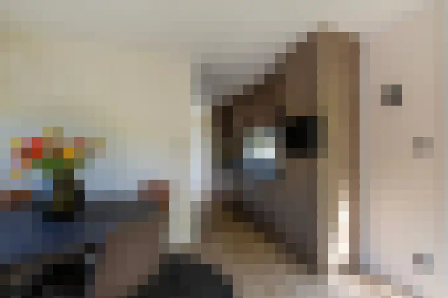 1e Verdelingsweg 813 Putte thumbnail 6