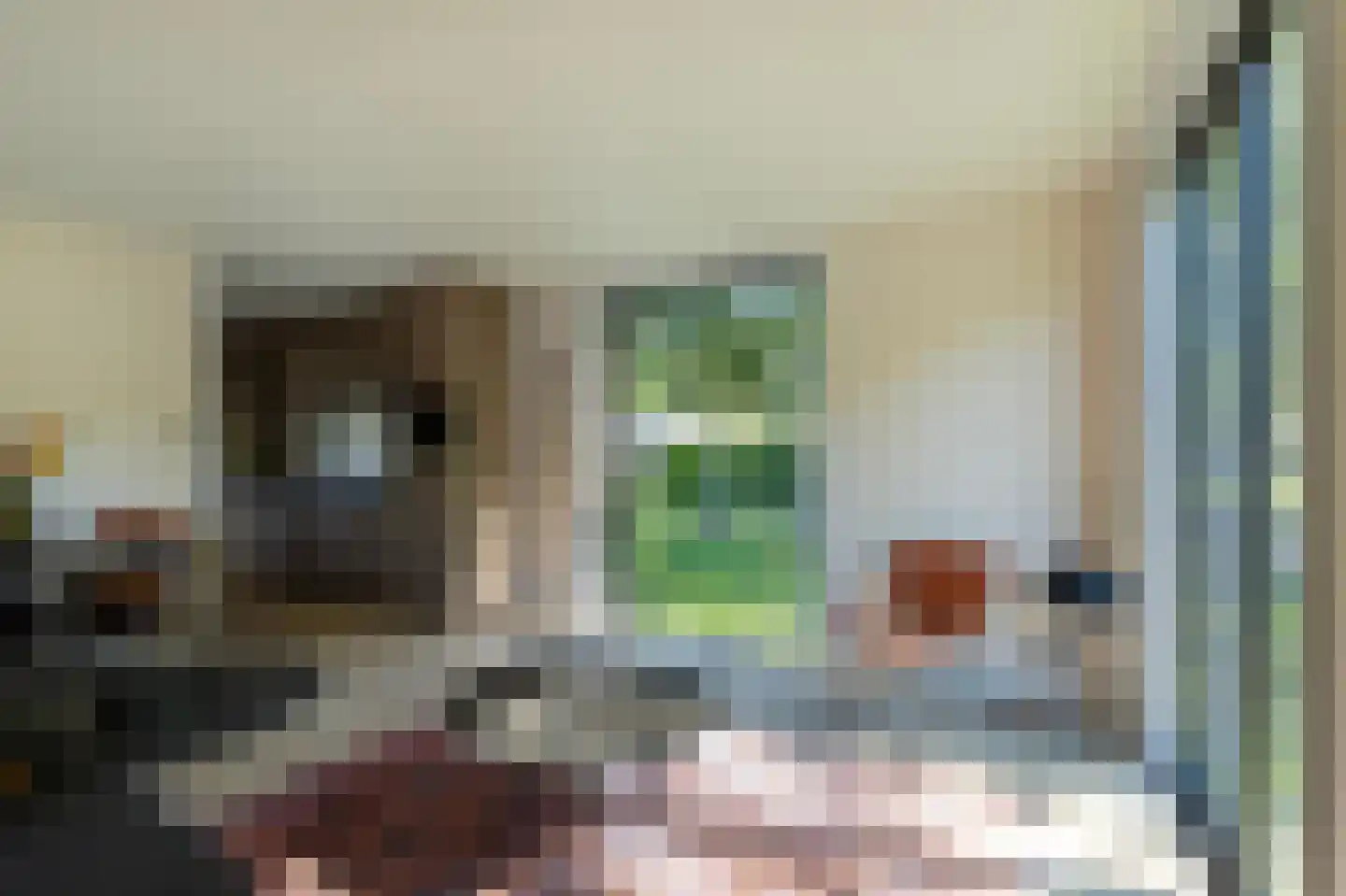 1e Verdelingsweg 813 Putte thumbnail 9