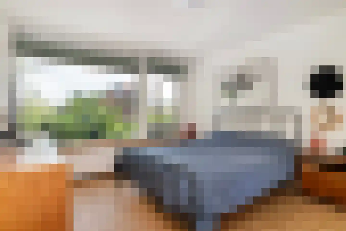 1e Vijverstraat 6 Rotterdam thumbnail 11